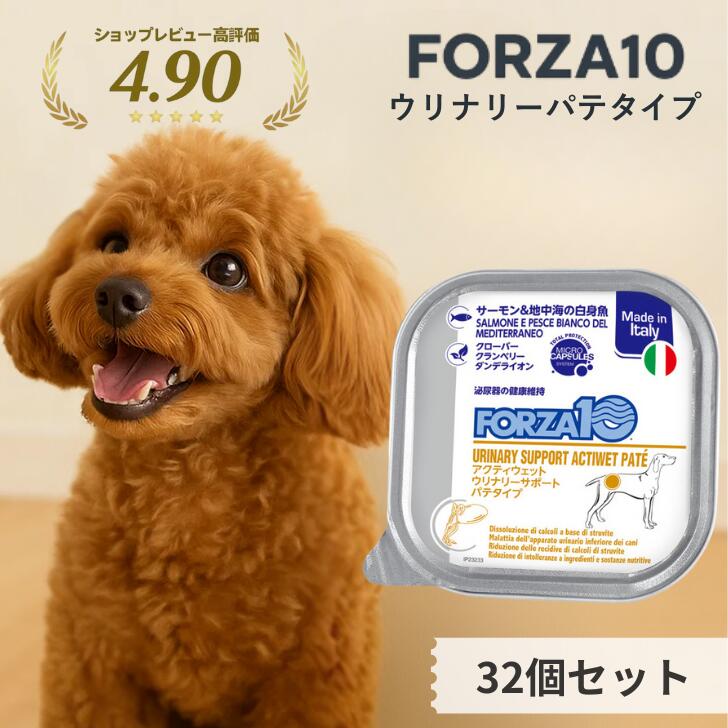 ソルビダ