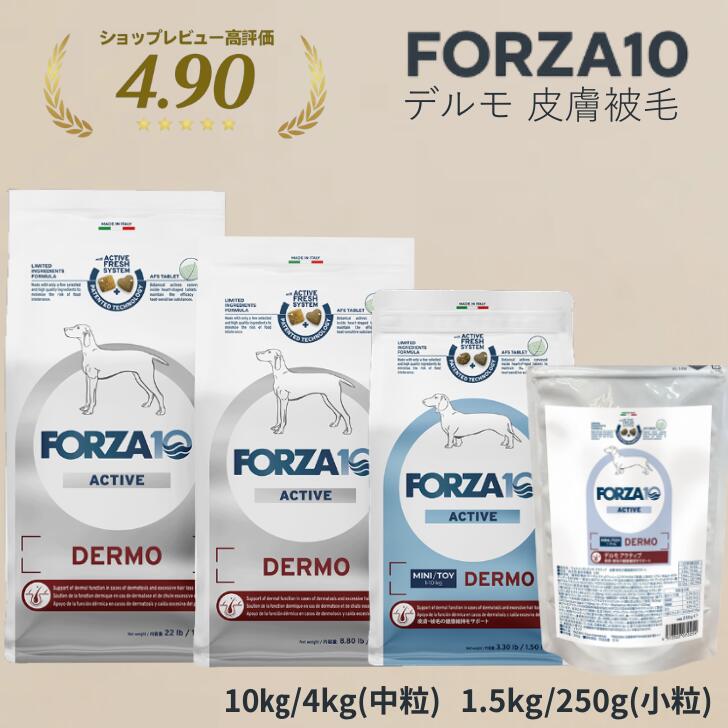 ソルビダ