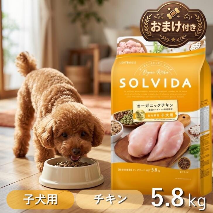 ソルビダ
