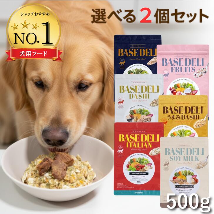 ソルビダ