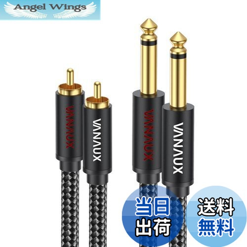 RCA 6V6 2本 EXFORM IZY 2R-6.3J-0.5M-BLK 【RCA - フォーンジャック 変換ケーブル