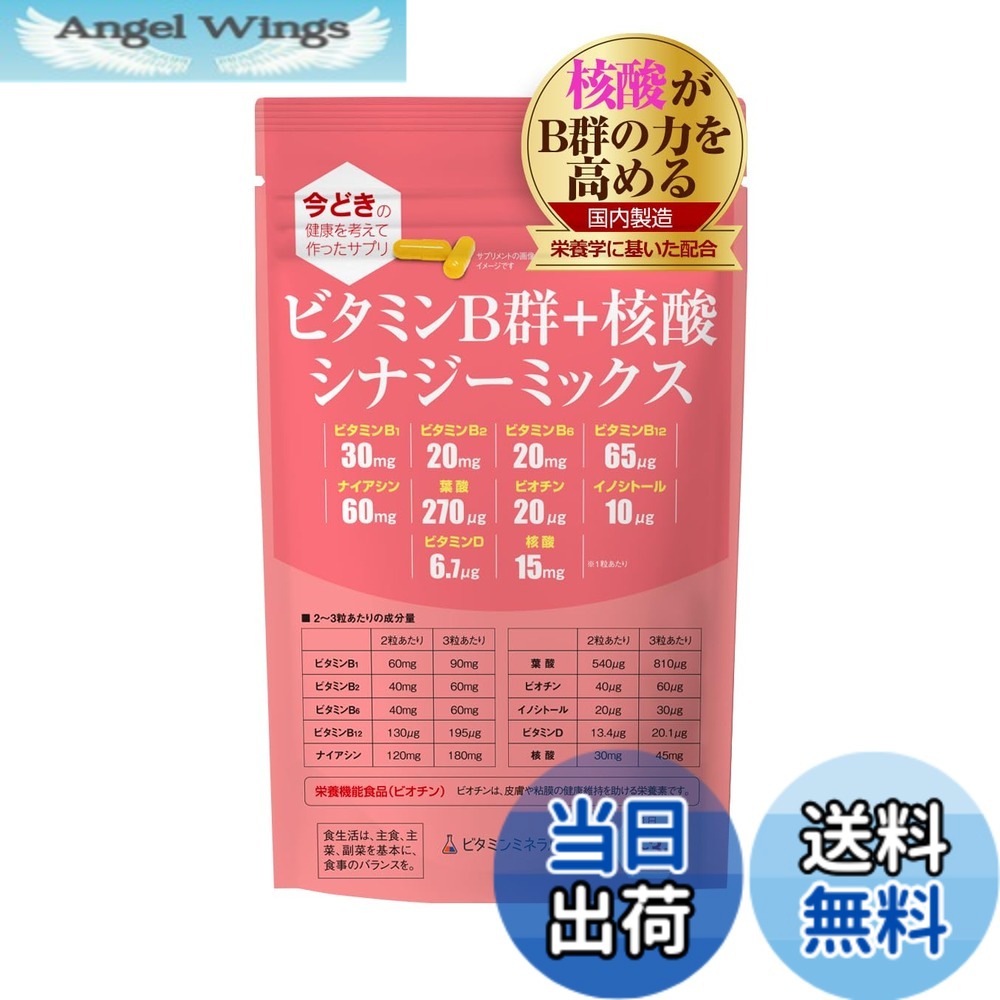 【送料無料】ビタミンB群+核酸 シナジーミックス【90粒入】1袋「ナイアシン」「核酸」強化配合/B1,B2,B6,B12,ナイアシン,イノシトール,パントテン酸,ビオチン/栄養のプロがプロデュース・おすすめのサプリ