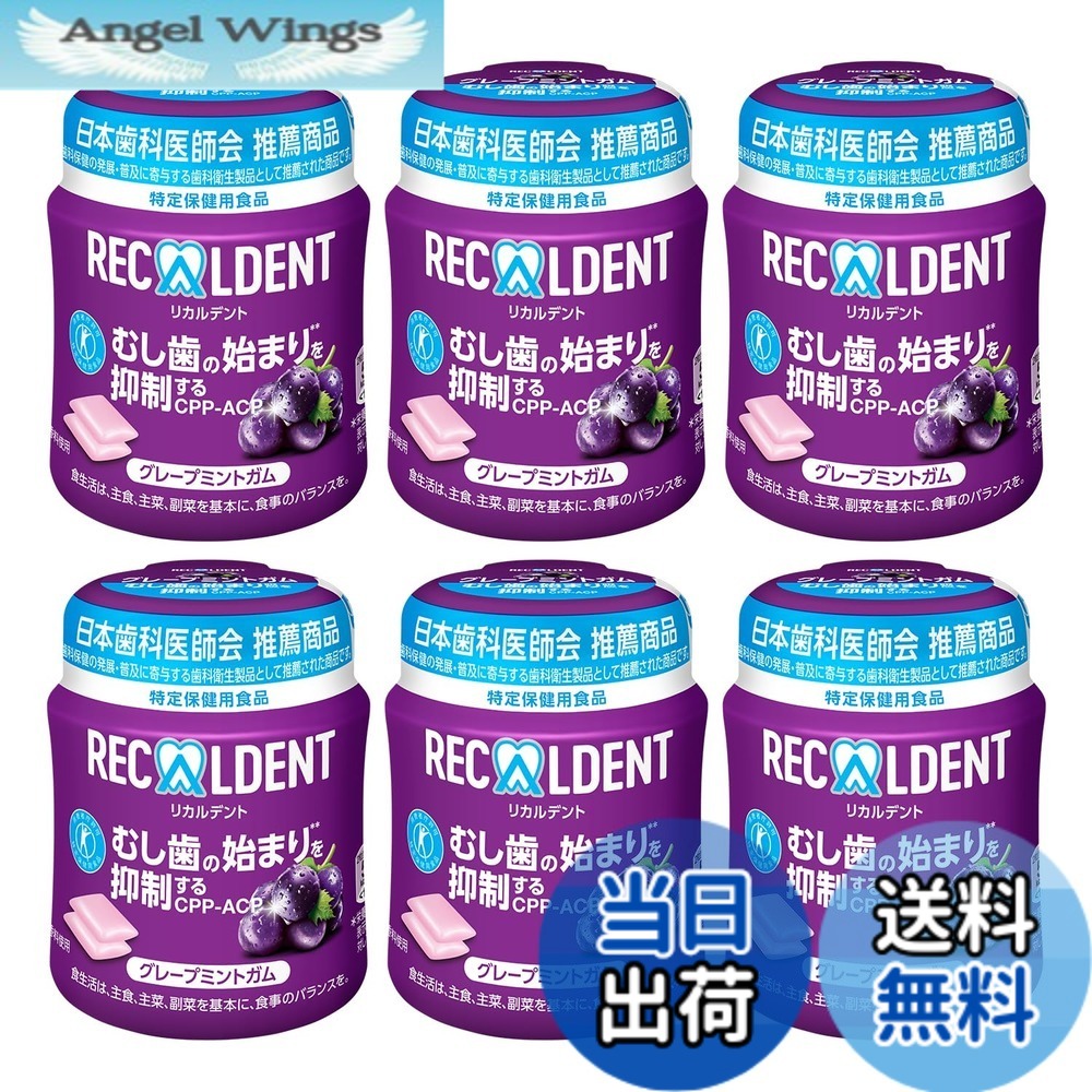 【送料無料】モンデリ―ズ リカルデント スタンドパウチ 大容量 280g サイズ：ボトルx6個 (135.2gx6)