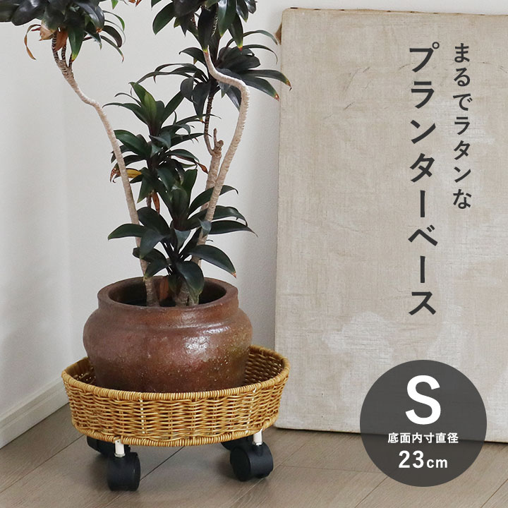 DIY タモ　天然木木口ウッドテープ粘着テープ付 タモ【粘着付×幅12～50mm×長さ50m】ツキ板木口テープ（エッジテープ