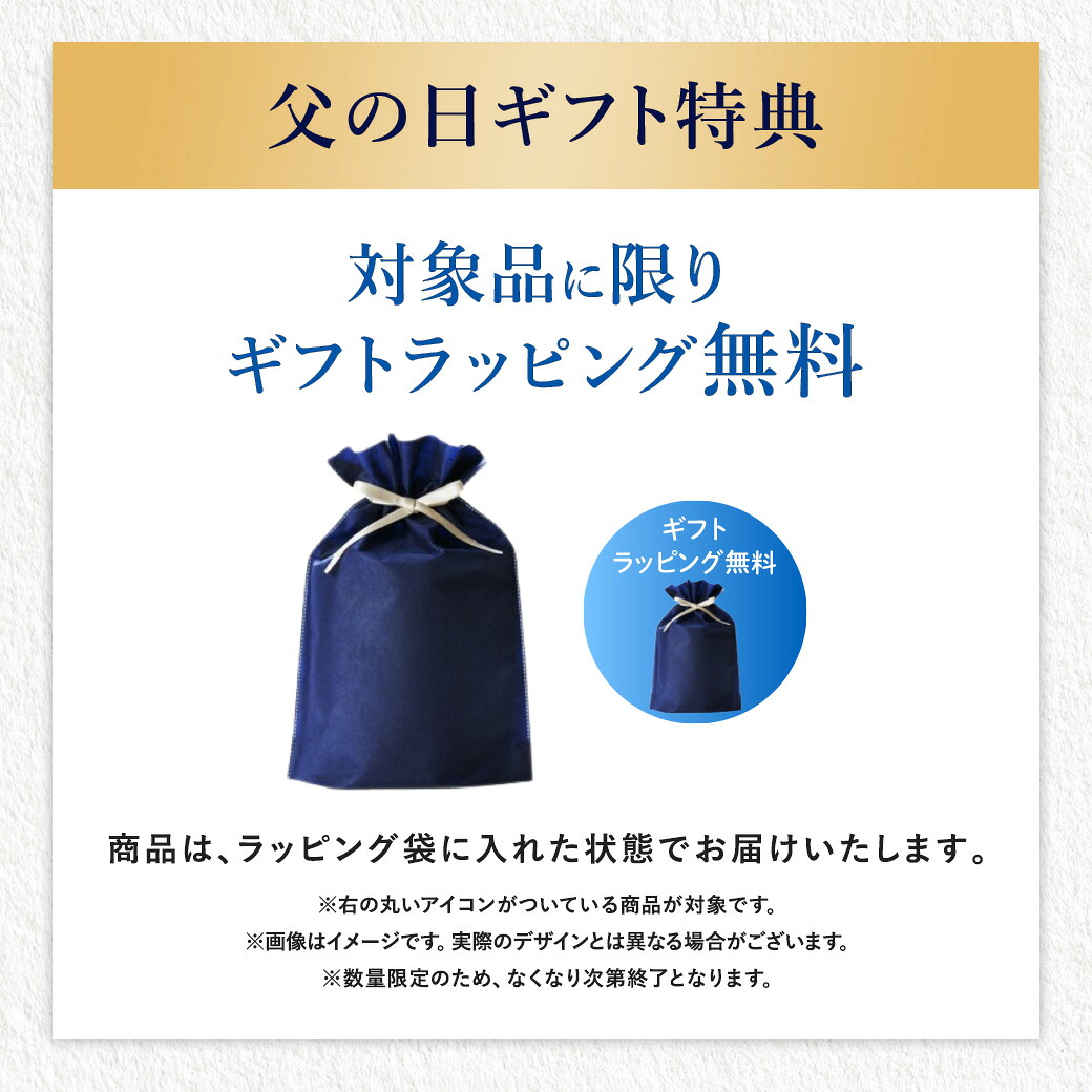 岩田剛典アンバサダー 電動洗顔ブラシ DISM 洗顔ブラシ ディズム EMS
