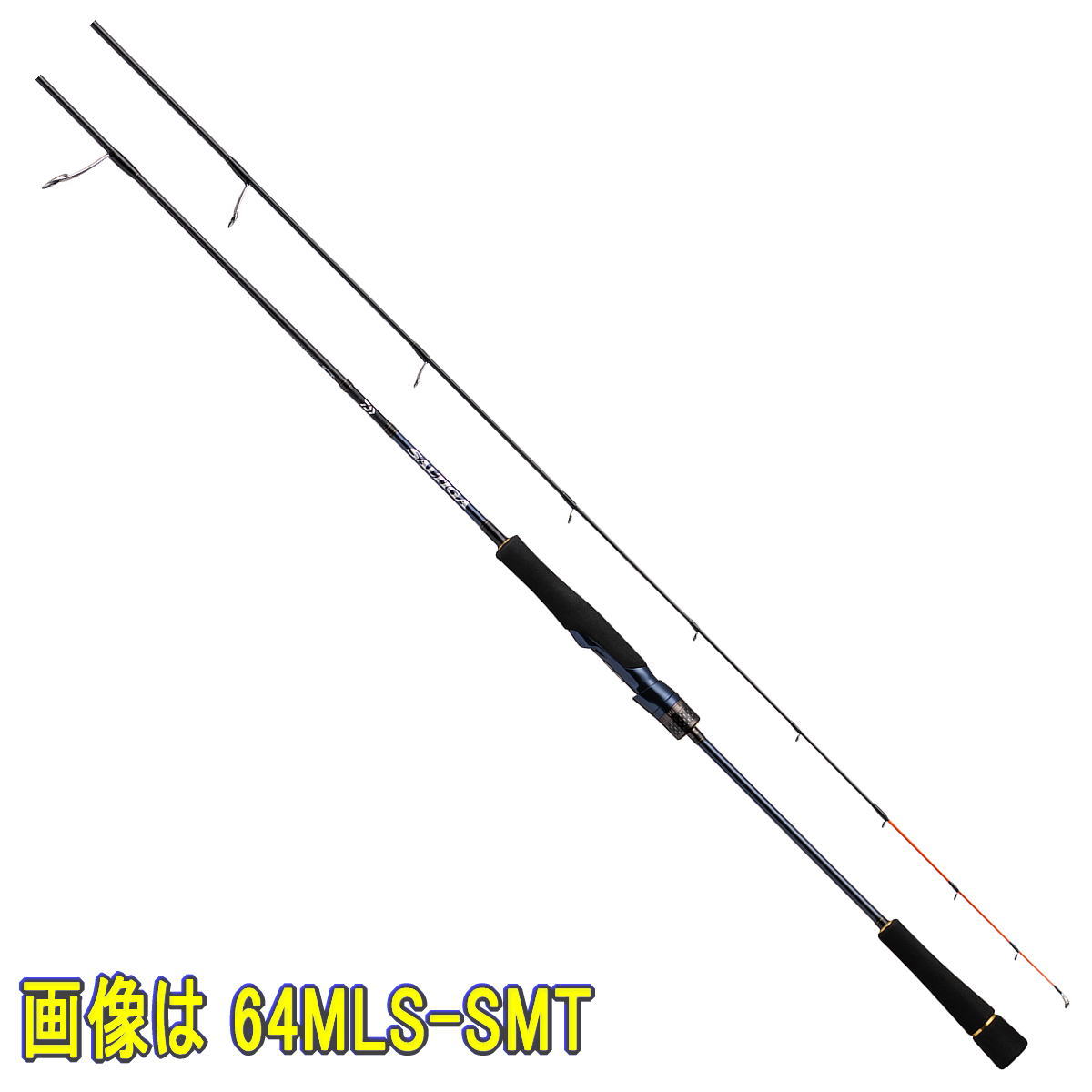 ダイワ 極点 \u002721 ソルティガ SLJ 61MS TG [6・大型]