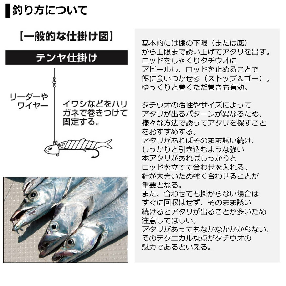 即発送可能 5 ダイワ ロッド テンヤタチウオx 180 R 年新製品 釣具のアングル 店 日本製 Corchomex Com