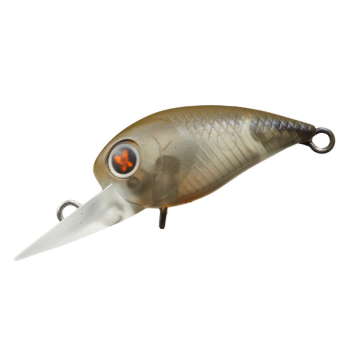 楽天市場】ダイワ プレッソ ワブクラJr 25DR-F エリアトラウトルアー