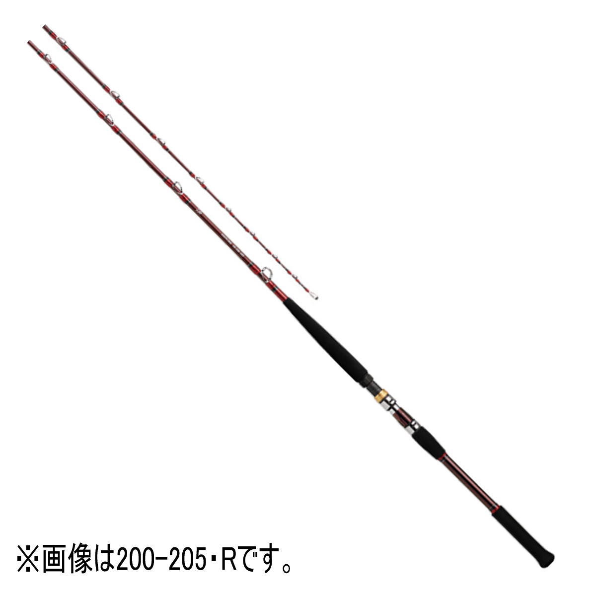ダイワ ロッド '21 ディープゾーン GS 200-205・R [6・大型]