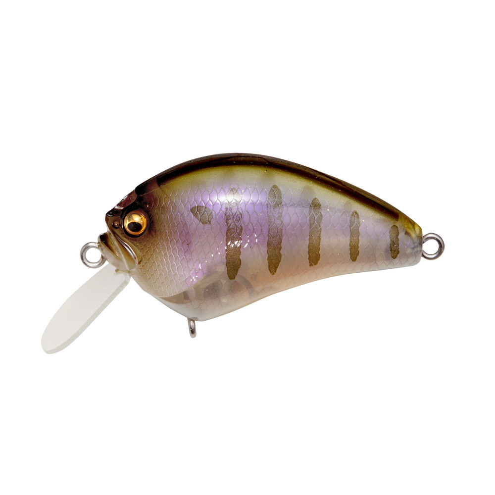 ブローリー セット メガバス　Megabass i×i blowly イマカツ IXI SHAD(アイバイアイ シャッド) TYPE-R イマカツブリーム