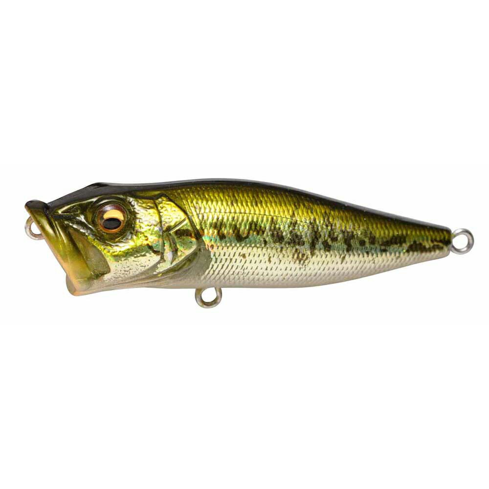 ⭐新品⭐Megabass POP X BACKRUSH オリカラセット ⭐新品⭐Megabass POP X BACKRUSH オリカラセット