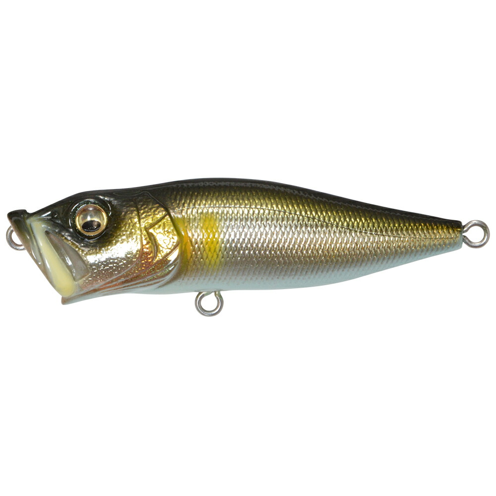 チャガユ 225 ホッツ ケイコオーシャン カーペンター carpenter γ