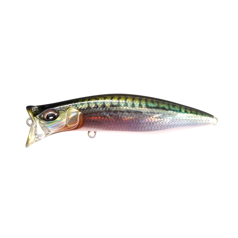楽天市場】Megabass/メガバス パガーニ P100 L/R【リール/ベイト