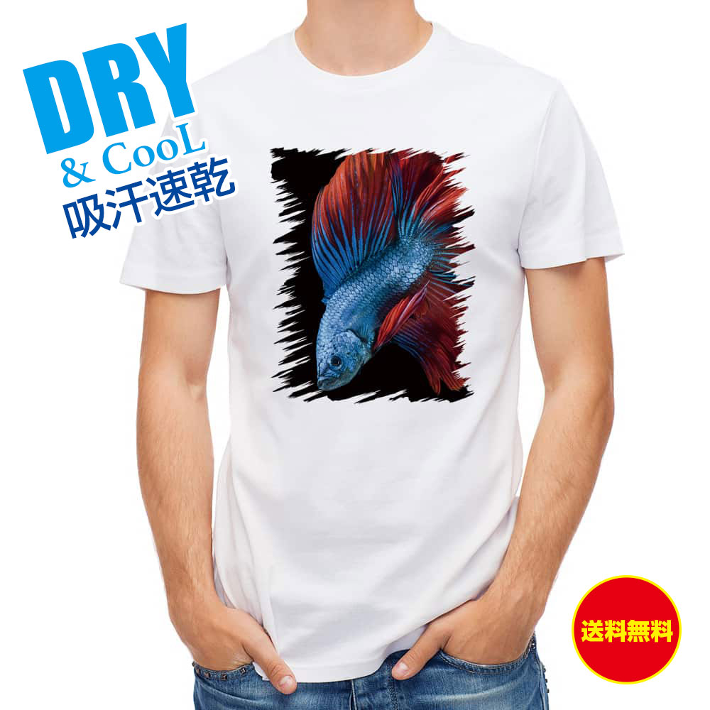 熱帯魚 安い 大きな取引 60 割引 Saferoad Com Sa