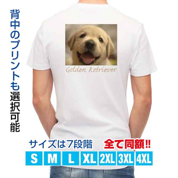 楽天市場 お買い物マラソン かわいい Tシャツ ゴールデンレトリバーの子犬 犬 イヌ いぬ 雑貨 かわいい T シャツ メンズ 半袖 ロゴ 文字 春 夏 秋 インナー 安い 面白い 大きいサイズ 洗濯 ポリエステル 送料無料 アイフォンケース Anglers Case