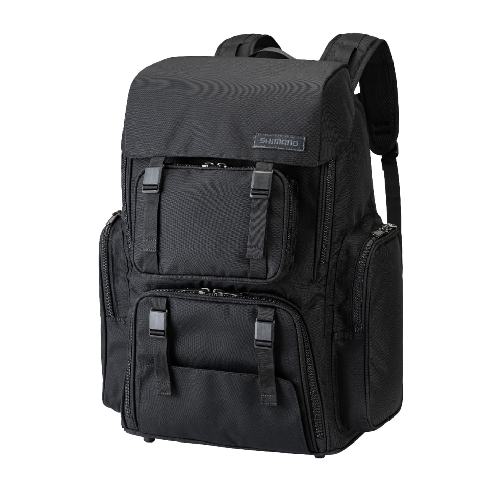 bd-031v-l.jpg