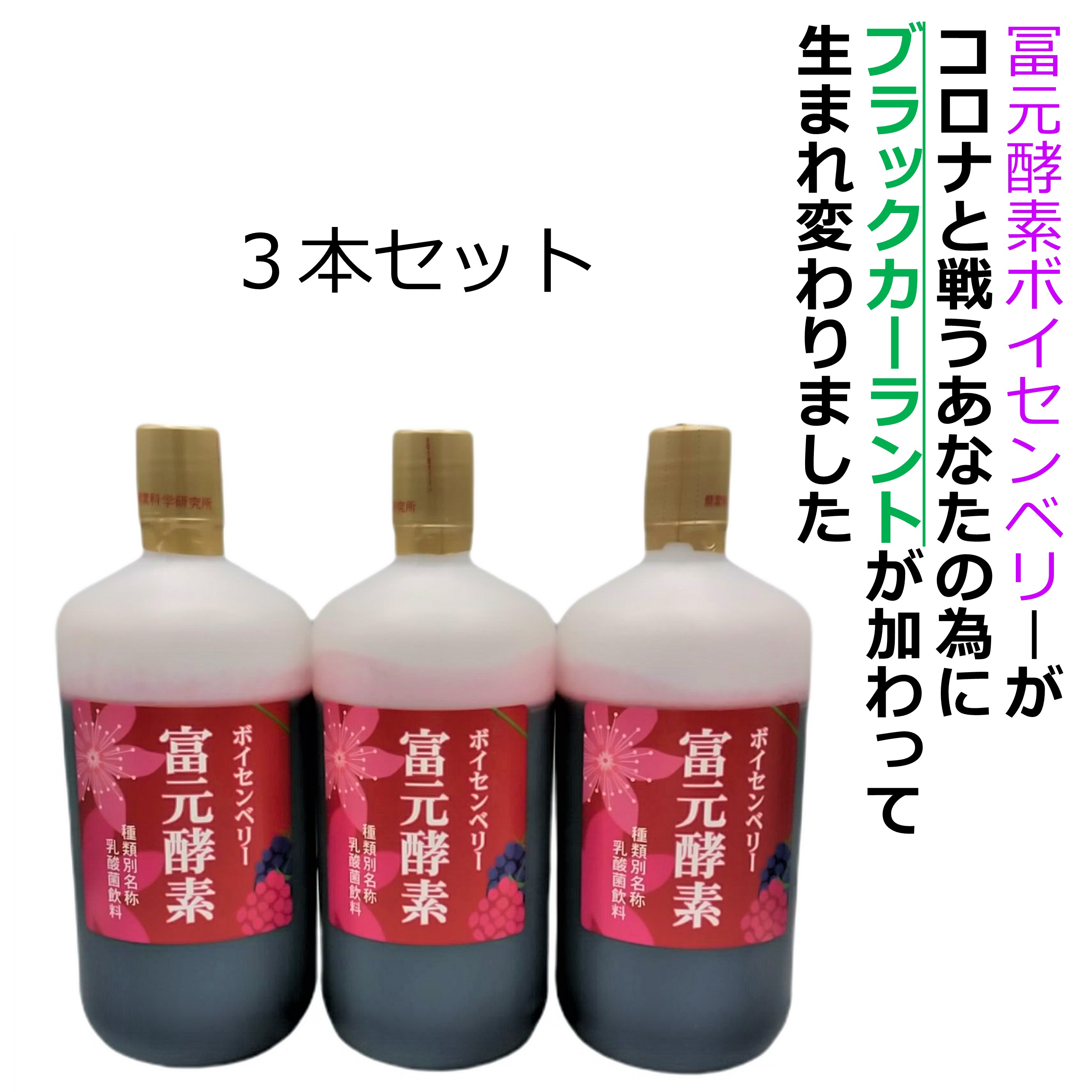 1セット限定！6/25まで！新品 富元酵素 ボイセンベリー酵素1000ml×2本