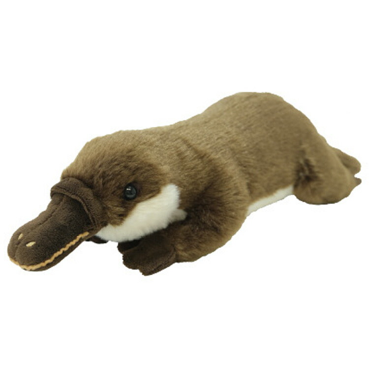 フィニアスとファーブ　カモノハシ ペリー ぬいぐるみ　ディズニー Disney B3 フィニアスとファーブ ぬいぐるみ カモノハシ ペリー