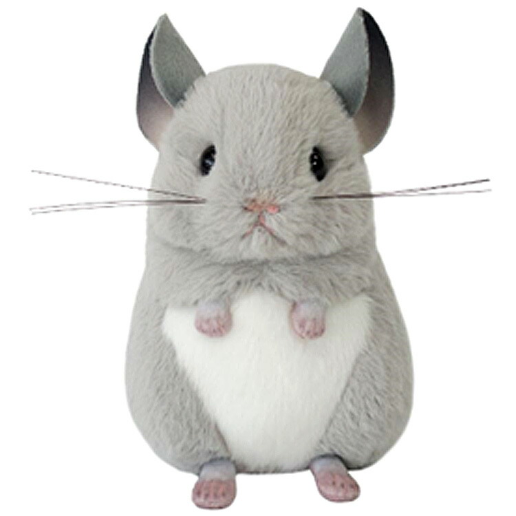 楽天市場】Mark Crown てのひらサイズの チンチラ ぬいぐるみ 全5種+