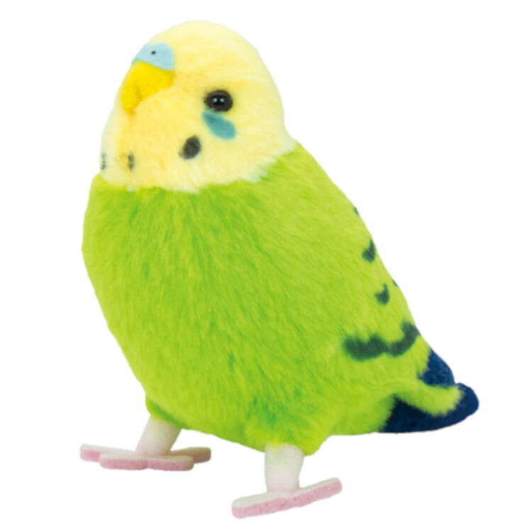 インコのぬいぐるみ 楽天市場】＼平日9時までの注文で即日発送／【ことりのね