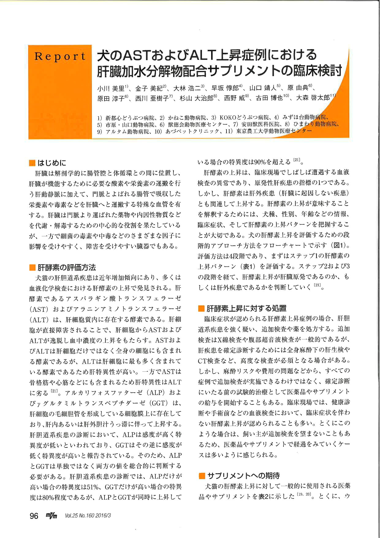 賞味期限 23 10 31 定形外郵送のみ 2個セット 送料無料 ヘパアクト 100粒 他商品同梱不可 septicin Com