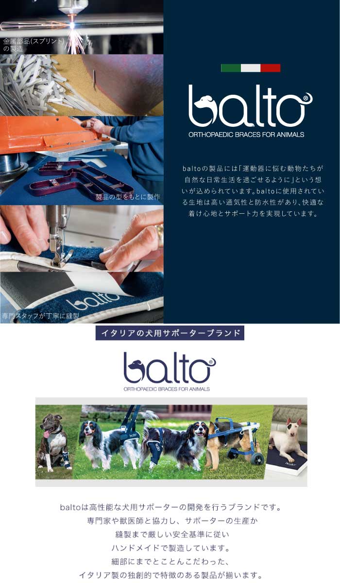 オープニング大放出セール Bt Neck 首サポーター Mサイズ愛犬の首のサポートに頸椎サポーター 肌触りがいい Www Lexusoman Com