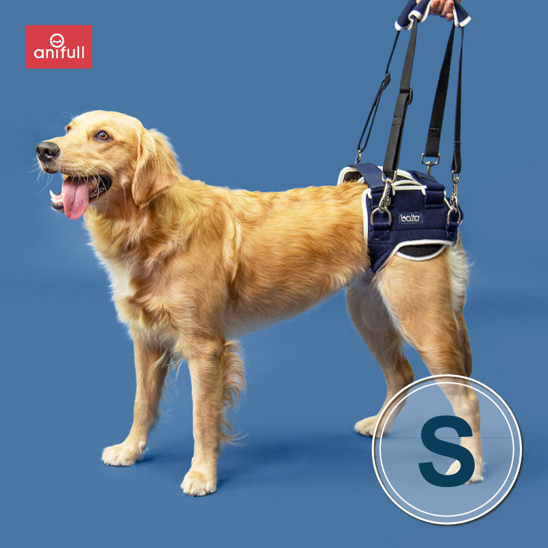 BT LIFE(股関節愛読者)S大きさ愛玩動物用 股関節愛読者 犬用股関節 股関節受け支える 股関節 股 うしろ肢 うしろ肢 うしろ肢 押さえる 外転 外転押さえる 御拾いかばい立て 御居処 うしろ肢用馬具 押し付ける