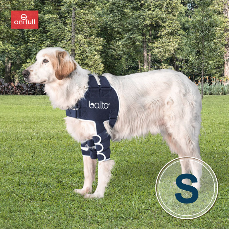 楽天市場】【anifull 公式】 アニサポ ショルダースリーブ 小型