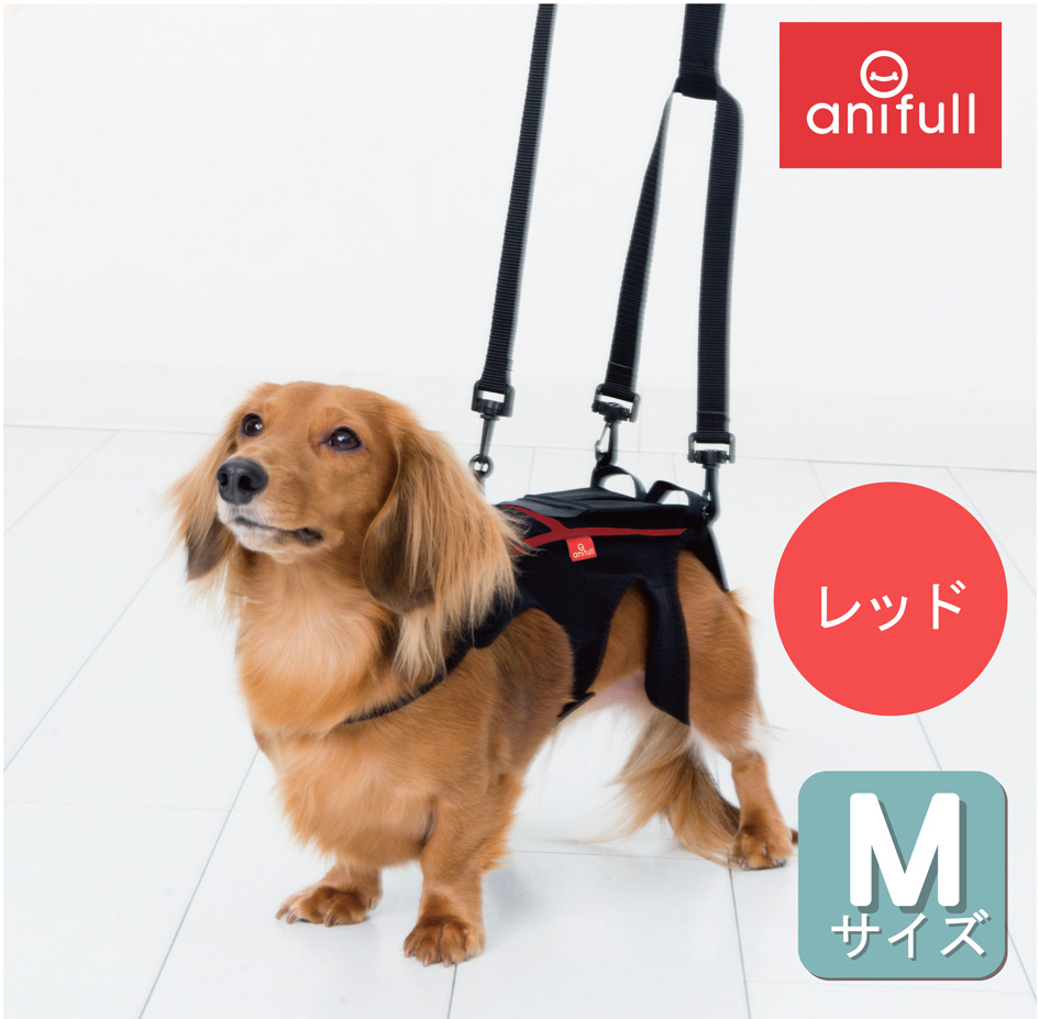 楽天市場 犬用品 犬用コルセット ハーネス 術後 介護 わんコル Mサイズ ブラック 日本製 ダイヤ工業 Anifull アニフル 愛犬と一緒に歩くを叶えるanifull