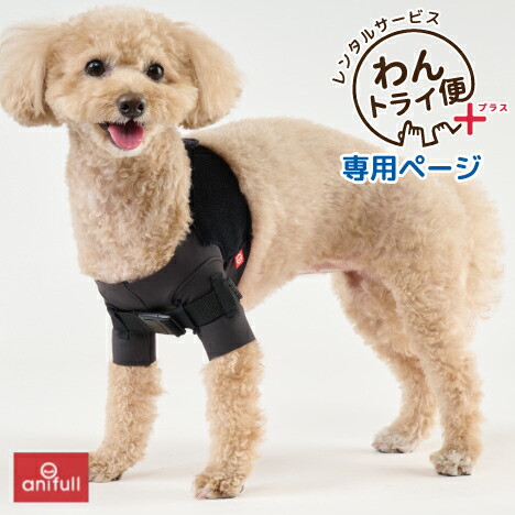 楽天市場】ホールドショルダー holdshoulder 肩脱臼 肩安定 固定