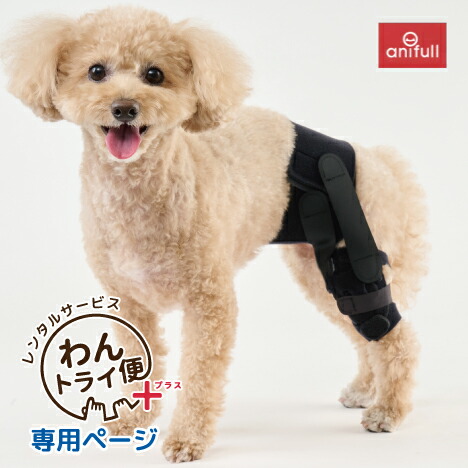 楽天市場】【anifull 公式】 アニサポ ショルダースリーブ 小型犬向け