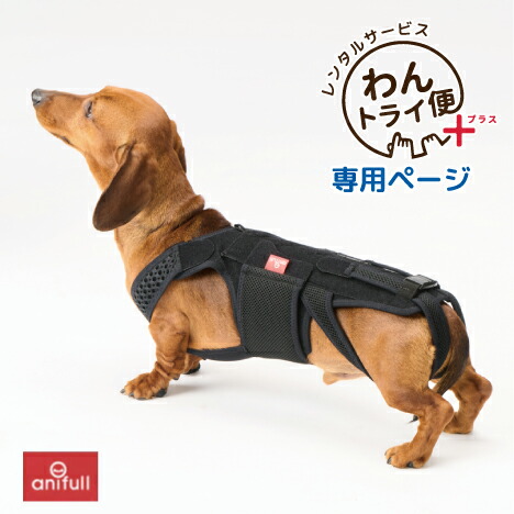 楽天市場】【anifull 公式】 アニサポ ショルダースリーブ 小型犬向け