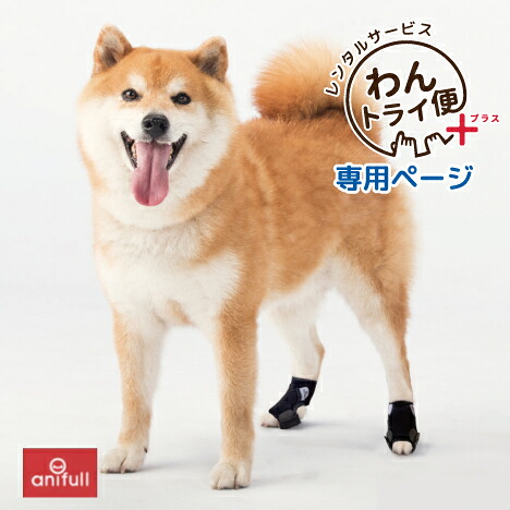 アニフル犬用手首サポーター 前両足2足セット 【公式通販】