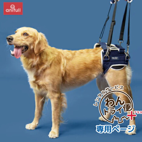 犬☆股関節サポーター 61PubzgJoHL._UF894,1000_QL80_.jpg