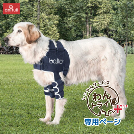 anifull ショルダースリーブ 黒 アニサポ ショルダースリーブ 犬用肩関節サポーター 外転を