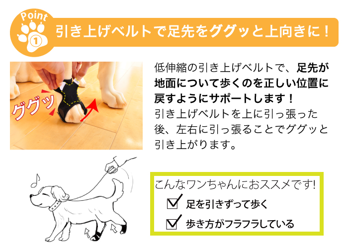 楽天市場 12 000個突破記念 送料無料 犬用品 足 サポーター 指 爪 保護 アニサポ ナックルン Mサイズ 日本製 ダイヤ工業 Anifull アニフル 愛犬と一緒に歩くを叶えるanifull