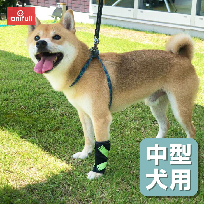 値引 楽天市場 犬用品 手 前足 手根関節 サポーター 固定 制限 底屈 背屈 歩行補助 手首 サポーター 中型犬用 オーダーメイド 日本製 ダイヤ工業 Anifull アニフル 愛犬と一緒に歩くを叶えるanifull 在庫あり 即納 Lexusoman Com