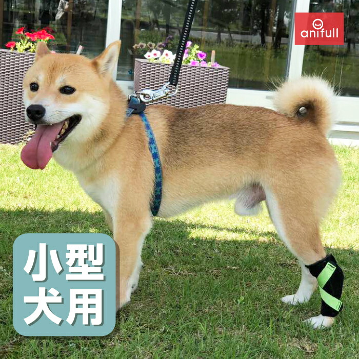 歩行補助 日本製 ダイヤ工業 犬用品 足 小型犬用 底屈 日本製 犬用品 オーダーメイド 固定 背屈 サポーター 後ろ足 Anifull ステー内蔵で足首をしっかりサポート 足首 制限 犬用品 足根関節 サポーター アニフル 愛犬と一緒に歩くを叶えるanifull