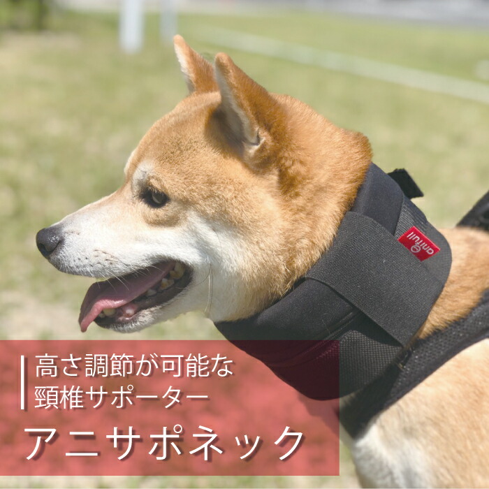 最大71 オフ 犬用品 首 頸椎 サポーター 固定 制限 アニサポネック 中型犬用 オーダーメイド 日本製 ダイヤ工業 Anifull アニフル Somardistribuidora Com