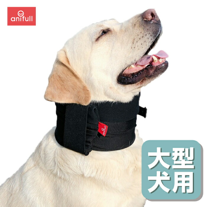 楽天市場 犬用品 首 頸椎 サポーター 固定 制限 アニサポネック 大型犬用 オーダーメイド 日本製 ダイヤ工業 Anifull アニフル 愛犬と一緒に歩くを叶えるanifull