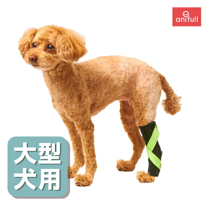 楽天市場】犬用膝サポーター 【小型犬用(体重4~10kg)】犬用品 固定 ...