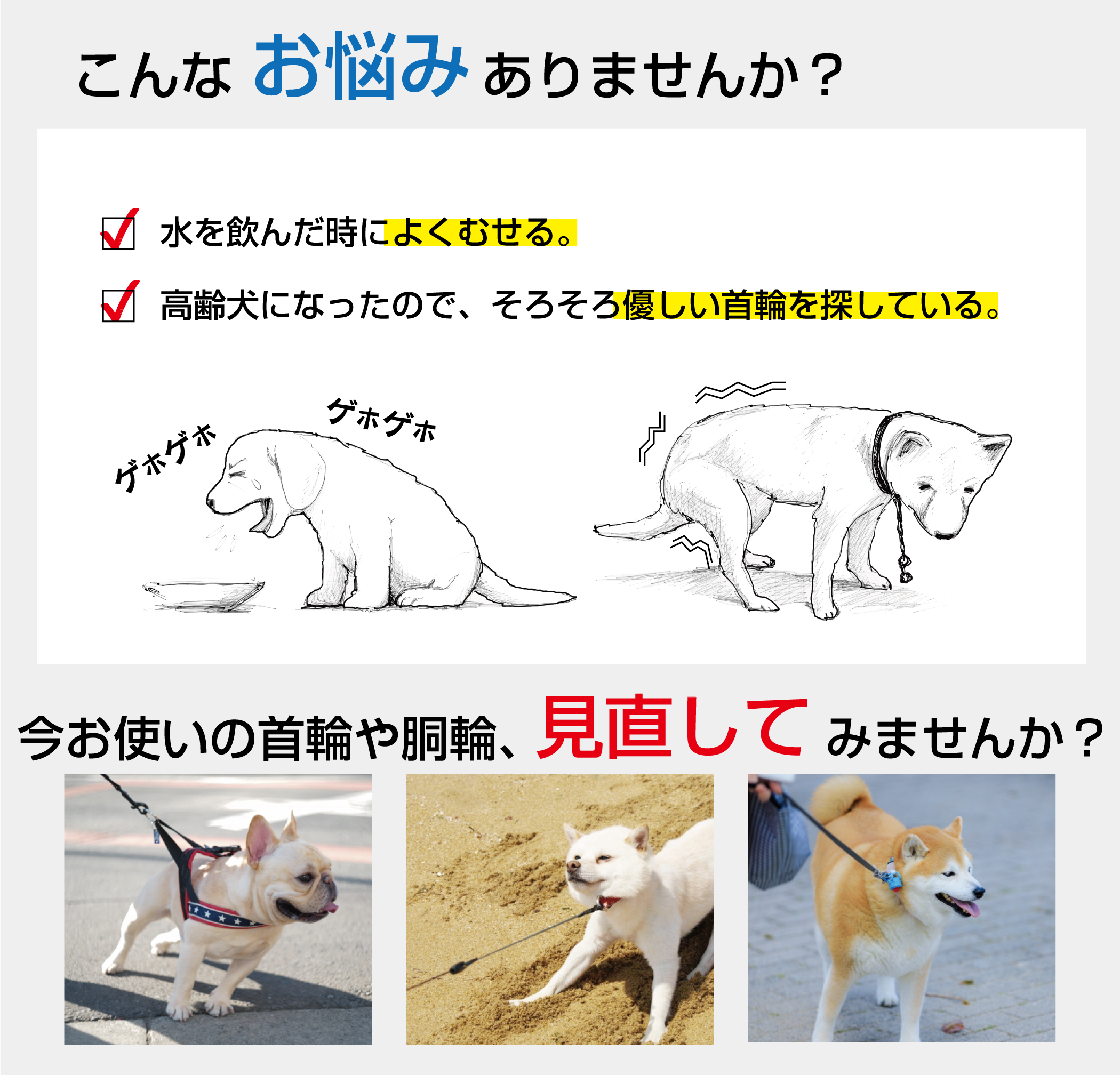 気管にやさしい犬の散歩用ハーネス アニサポ ハーレスト ブラック Mサイズ 介護用ハーネス Sermus Es