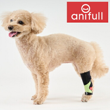 楽天市場】【anifull 公式】 アニサポ ショルダースリーブ 小型犬向け