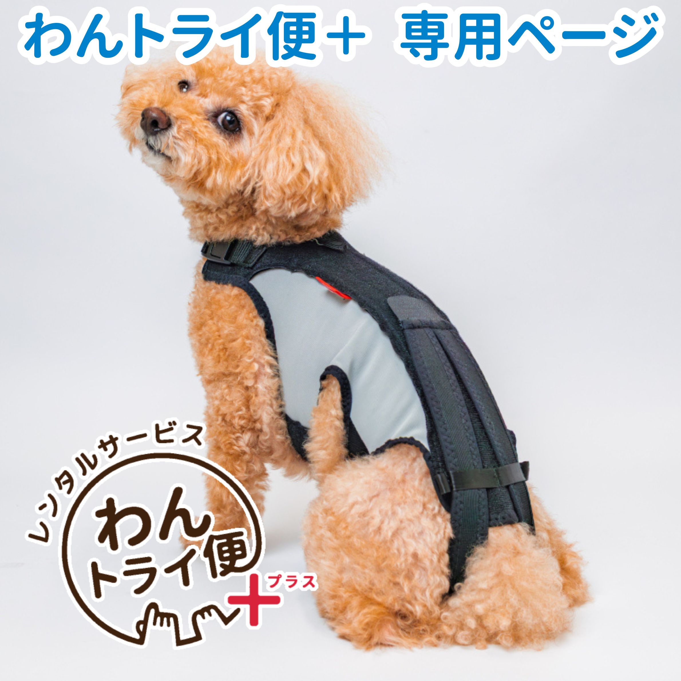 【anifull 公式】 【レンタルサービスわんトライ便+】 わんコル LIFE アニフル ダイヤ工業 日本製 犬用品 犬用 犬用コルセット コルセット 犬 術後 介護 腰 腰椎 腰骨 背骨 安静 固定 制限 歩行補助 補助 介護 ソフトタイプ ソフト ケージレスト