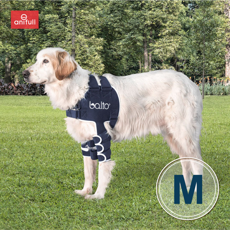 楽天市場】【anifull 公式】 アニサポ ショルダースリーブ 小型