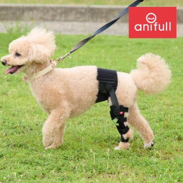 anifull アニフル ヒップサポーター Sサイズ 楽天市場】【anifull 公式】 アニサポ ヒップ 小型犬向け