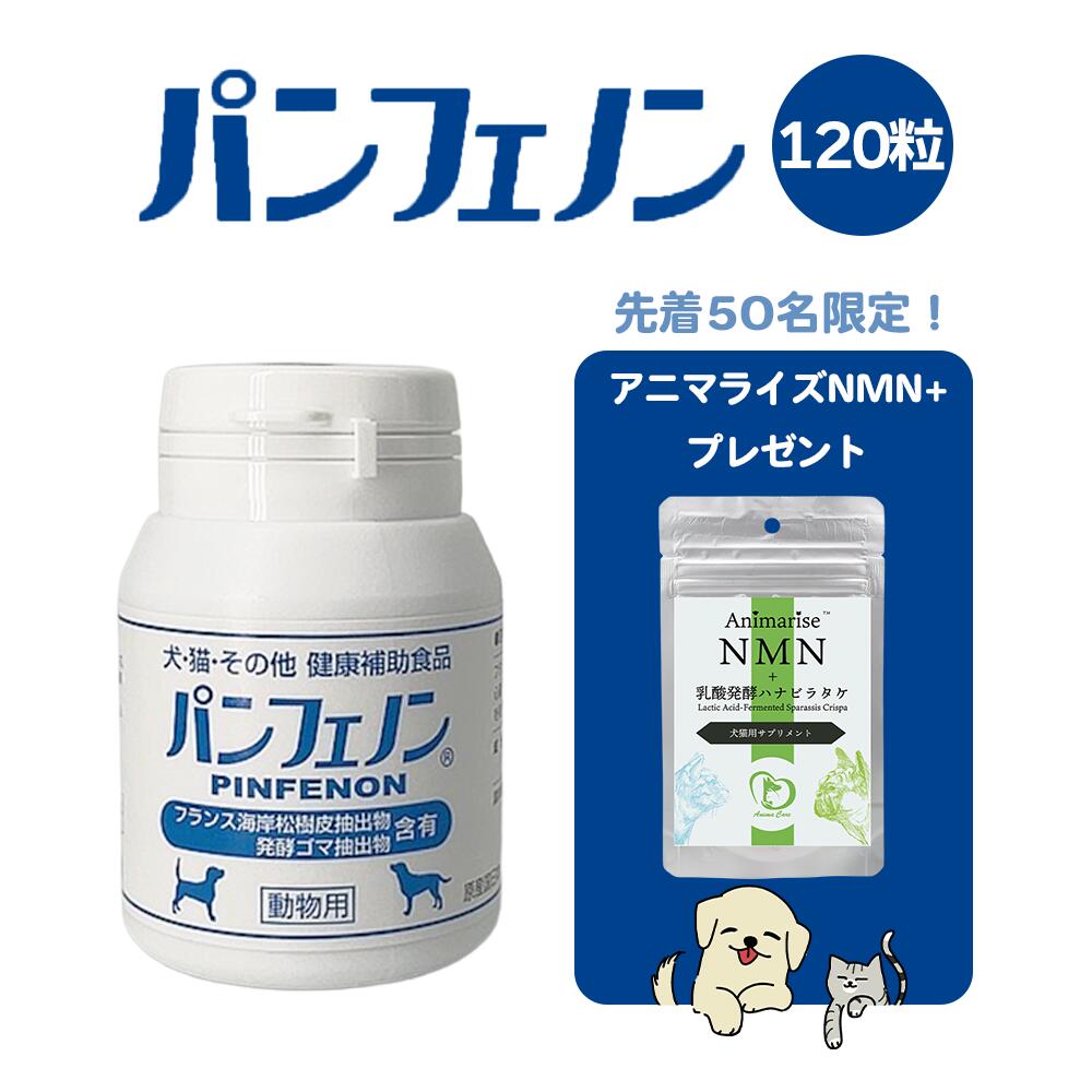 楽天市場】輝く金のちから サラサ ペット用｜酪酸リッチな乳酸菌