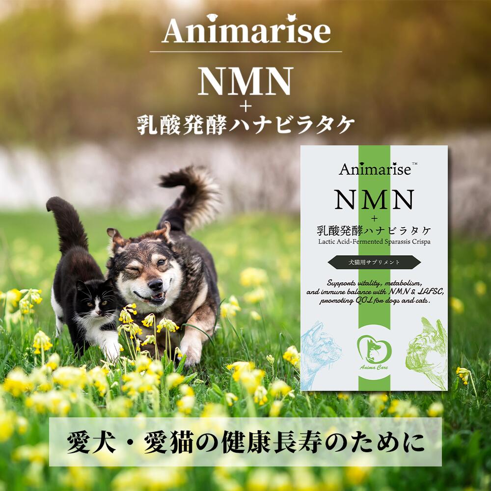 メディカルワン粉タイプ　犬猫用2袋　おまけ付 メディカルワン 粉タイプ （犬・猫兼用） | みず×いろポケット