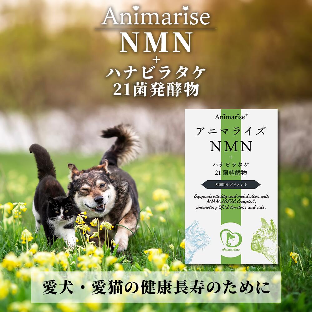 【動物病院取扱】アニマライズ NMN+ 6,600mg/60g ハナビラタケ BG・21菌発酵物 犬 猫 老犬 老猫 サプリ MICRONMN ペット用NMN 乳酸菌 ハナビラタケ ペット 健康 免疫 皮膚 白内 β-NMN 純度99% 多頭買い アニマケア｜ペット介護用品専門店 アニマケア