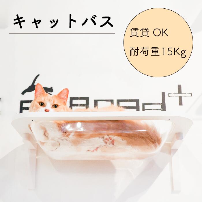 キャットロードプラス まとめ売り 5枚 cats 猫 キャットステップ タワー animacolle_700011